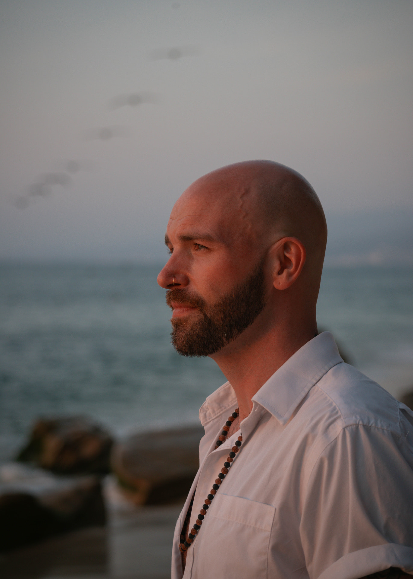 Rusty Holmes, mental fitness coach and IFS coach